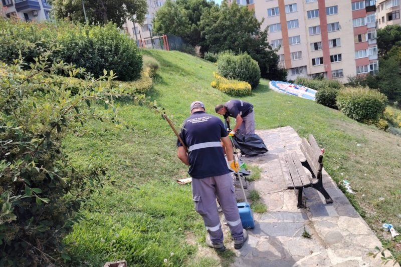 Maltepe'de Temizlik Seferberliği Altıntepe'de Sürüyor