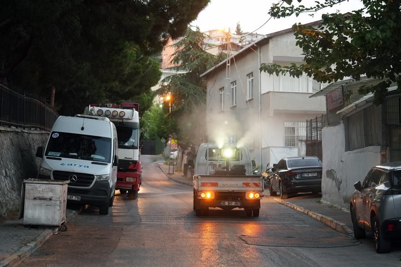 Maltepe'de Yaz Boyunca Sürecek Kapsamlı Haşere İlaçlama Çalışmaları Başladı
