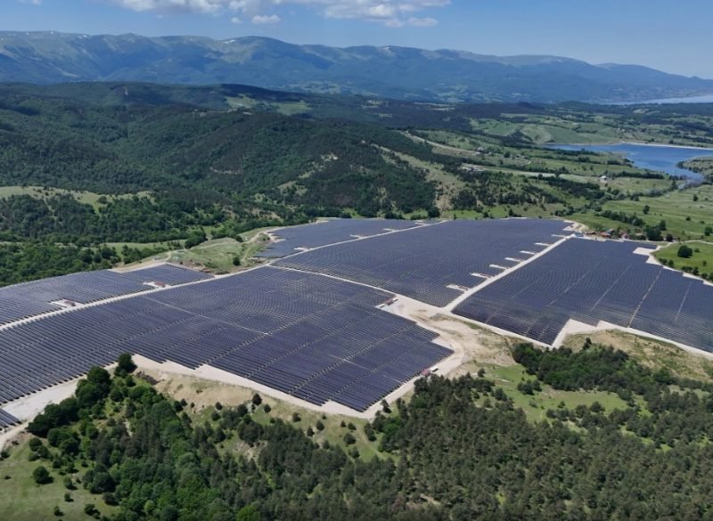 Samsun'da Güneş Enerji Santrali Sahasında Tarımsal Hasat Başladı
