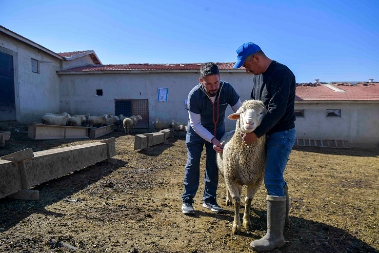 Ankara Büyükşehir Belediyesi veterinerlik hizmetleriyle kırsal üreticilere destek veriyor
