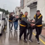 Adana'da hayvanlara yapılan istismarın ardından gözaltına alınan şahıslar ve kurtarılan hayvanlar