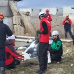 AFAD RESQ-ANIMALS Projesi kapsamında afetlerde hayvanların korunması için uluslararası iş birliği.