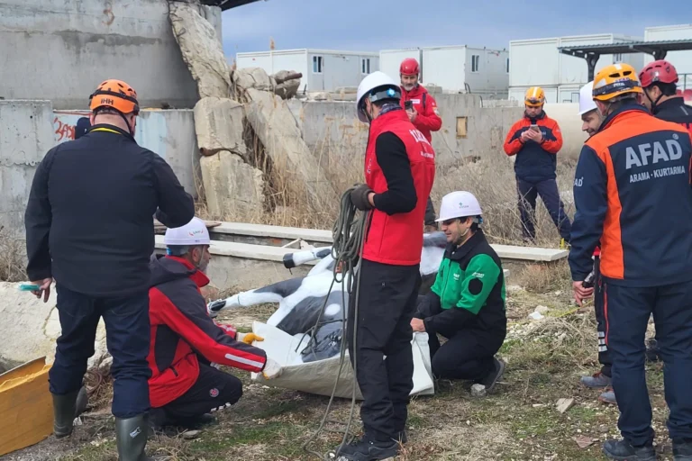 AFAD RESQ-ANIMALS Projesi kapsamında afetlerde hayvanların korunması için uluslararası iş birliği.