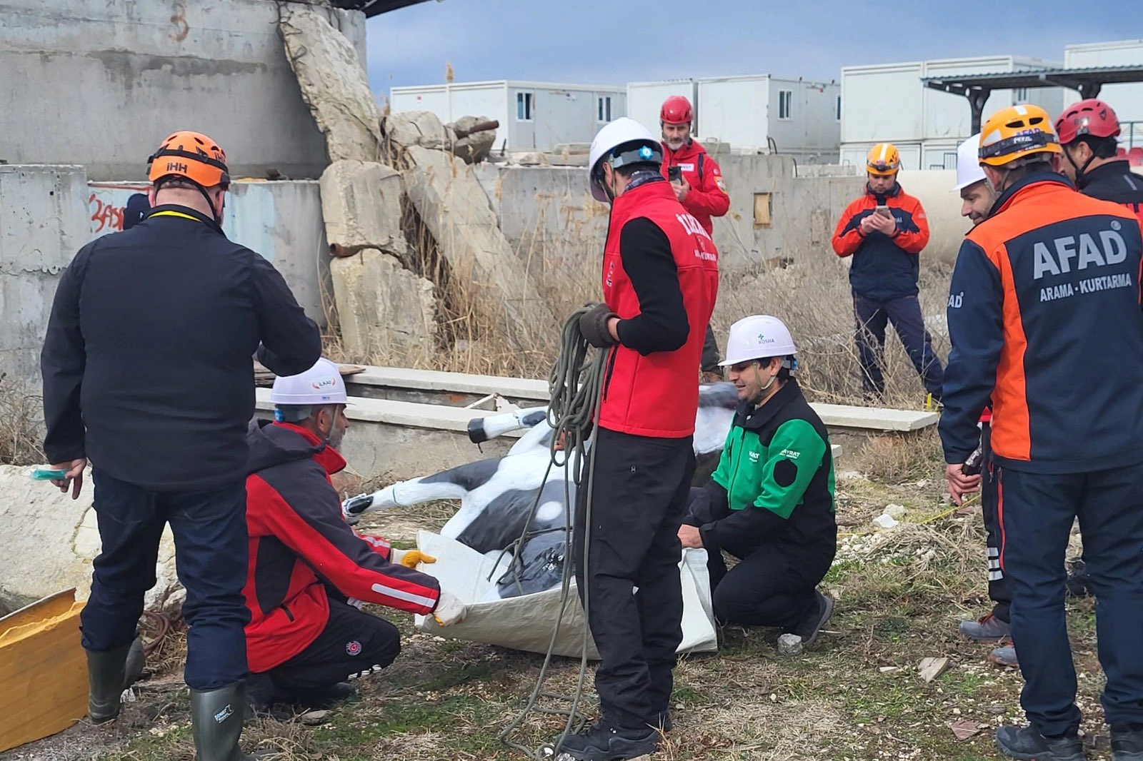 AFAD RESQ-ANIMALS Projesi kapsamında afetlerde hayvanların korunması için uluslararası iş birliği.