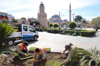 Antalya'da park ve yeşil alanlara dikilmek üzere hazırlanan milyonlarca rengarenk mevsimlik çiçek