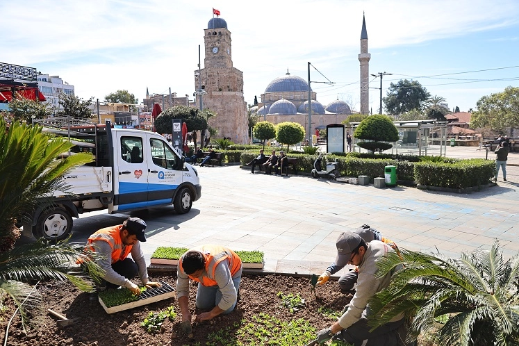 Antalya'da park ve yeşil alanlara dikilmek üzere hazırlanan milyonlarca rengarenk mevsimlik çiçek