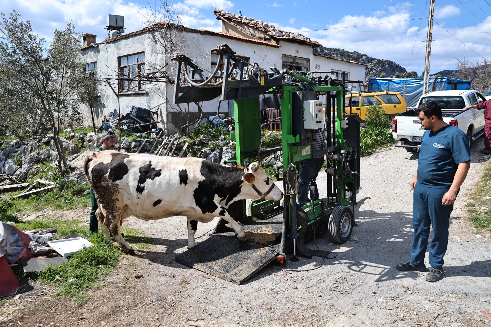 Antalya Büyükşehir Belediyesi, çiftçilere yönelik ücretsiz tırnak bakım hizmeti veriyor.