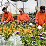 Antalya Muratpaşa Belediyesi sürdürülebilir üretim tesisi genel görünüm