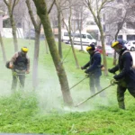 Osmangazi Belediyesi ekipleri, bahar aylarında park ve kaldırımlardaki yabani otları temizliyor.