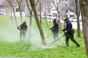 Osmangazi Belediyesi ekipleri, bahar aylarında park ve kaldırımlardaki yabani otları temizliyor.