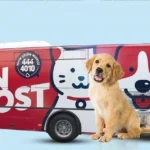 Balıkesir Büyükşehir Belediyesi'nin Can Dost mobil aracı, sokak hayvanlarına sağlık hizmeti veriyor.