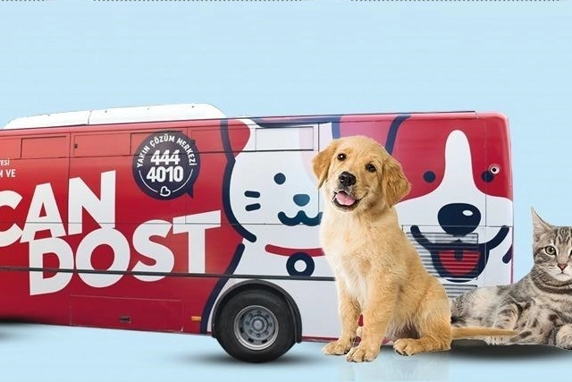 Balıkesir Büyükşehir Belediyesi'nin Can Dost mobil aracı, sokak hayvanlarına sağlık hizmeti veriyor.