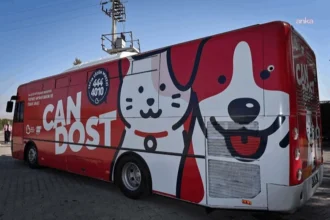 Balıkesir Büyükşehir Belediyesi'nin Can Dost aracı, sokak hayvanlarına sağlık hizmeti veriyor.