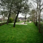 Çayırova park ve mesire alanlarında yenileme çalışmaları devam ediyor