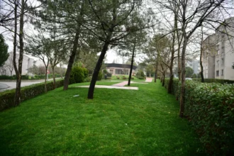 Çayırova park ve mesire alanlarında yenileme çalışmaları devam ediyor