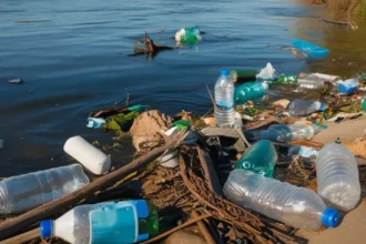 Denizlerde 325 bin ton atık temizlendi