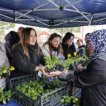 Eskişehir Büyükşehir Belediyesi tarafından mezarlık ziyaretçilerine ücretsiz çiçek dağıtılıyor