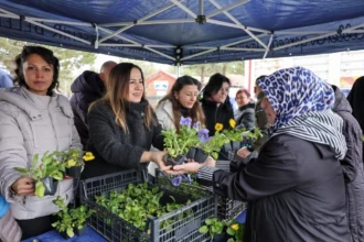 Eskişehir Büyükşehir Belediyesi tarafından mezarlık ziyaretçilerine ücretsiz çiçek dağıtılıyor