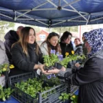 Eskişehir'de bayram arifesinde mezarlık ziyaret eden vatandaşlara ücretsiz çiçek dağıtan belediye görevlileri