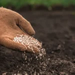 Tarım ve Orman Bakanlığı logosu ve üzerinde 'Gübre Tedarikinde Sorun Yok' yazısı