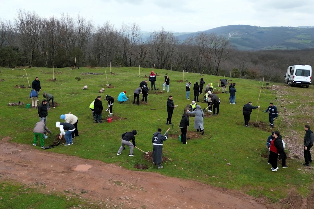 Kocaeli Engelsiz Yaşam Merkezi öğrencileri fidan dikerken