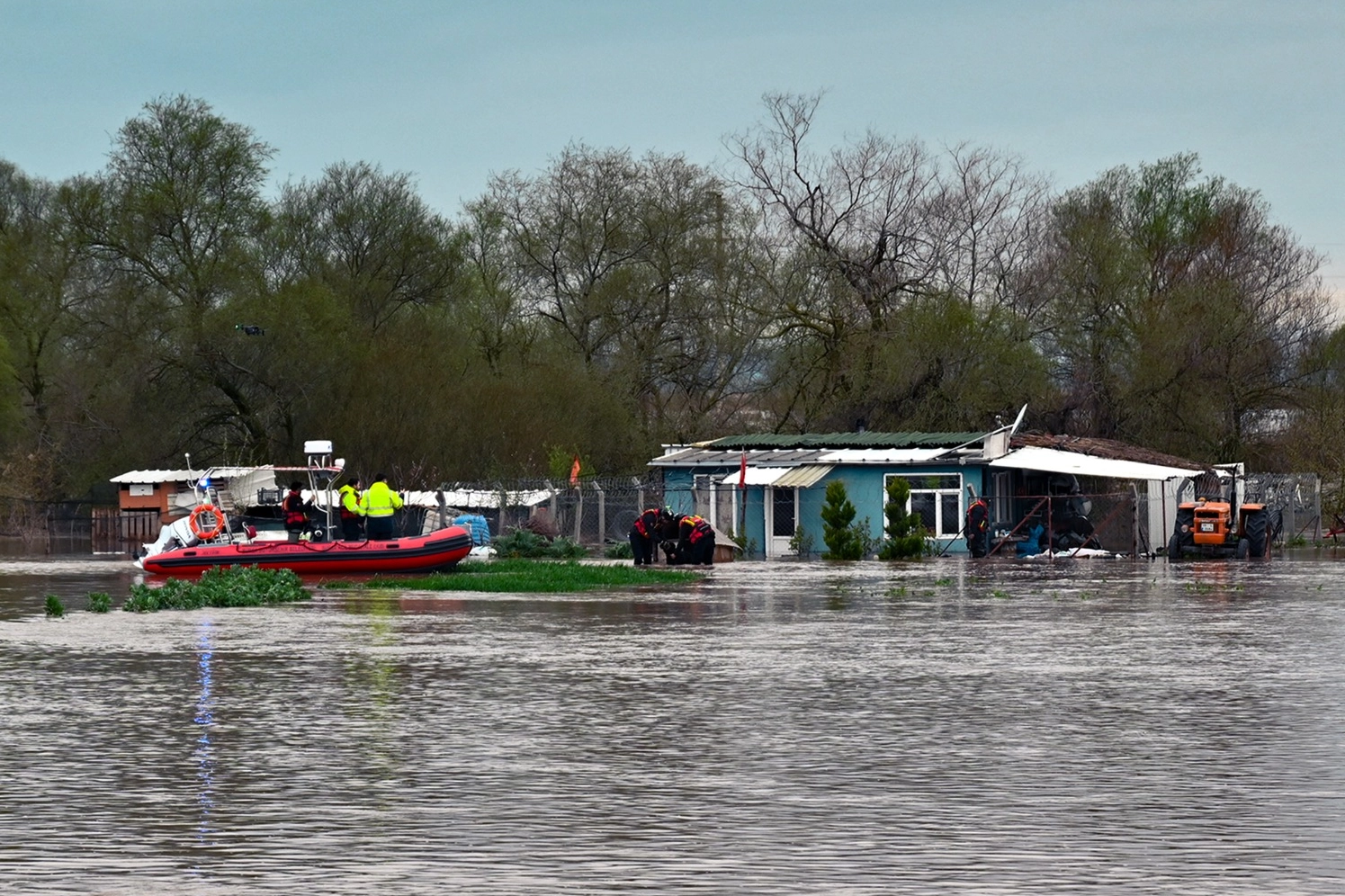 Bursa Karacabey'de sel sularından kurtarılan köpekler