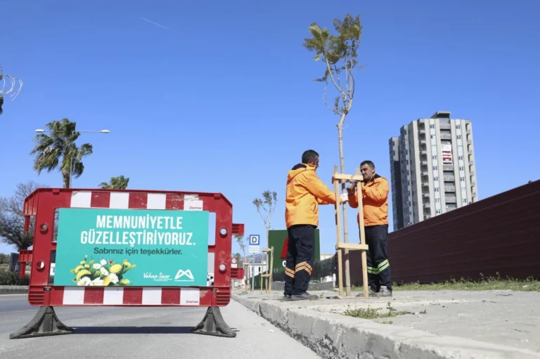 Mersin Büyükşehir Belediyesi tarafından başlatılan ağaçlandırma kampanyası kapsamında dikilen fidanlar