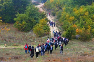 Sakarya'da doğa yürüyüşü etkinliği kapsamında bahar manzarası