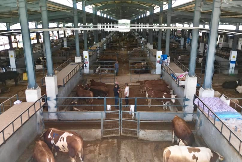 İnegöl Belediyesi Hayvan Pazarı Kotra İhale Tarihi Açıklandı