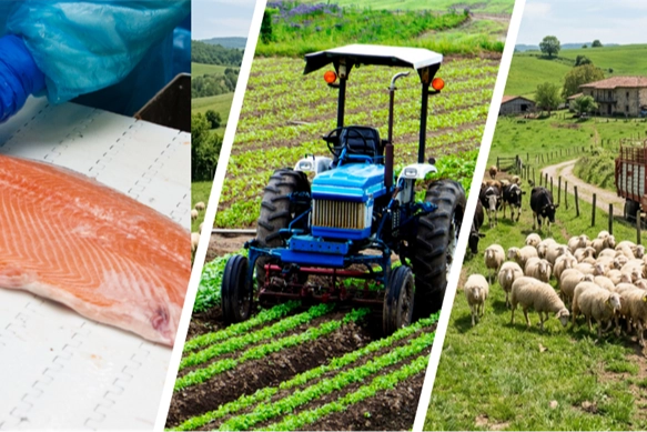 IPARD III 2026 çağrı takvimi ile kırsal kalkınmaya 241 milyon avro hibe desteği