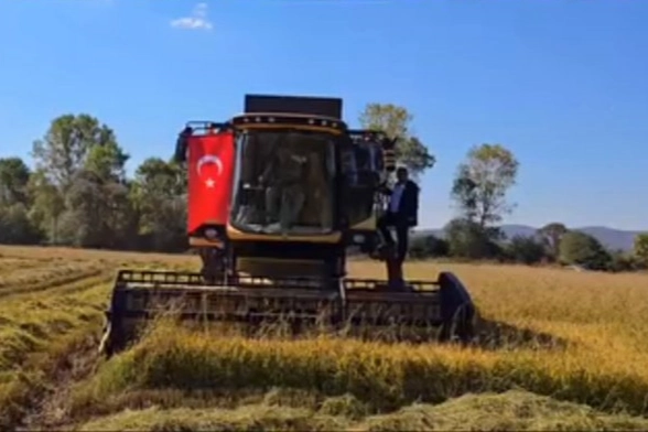 İstanbul'da üreticilere yönelik hibeli tohum ve fide desteği