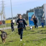 İzmir'de bakımevinde yuva bekleyen köpek ve kediler