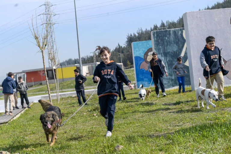 İzmir'de bakımevinde yuva bekleyen köpek ve kediler