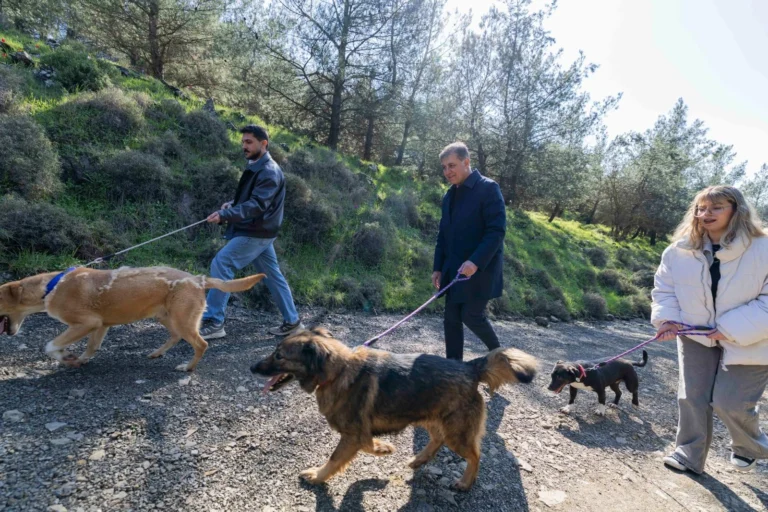 İzmir Büyükşehir Belediyesi'nin hayvan refahı ve doğal yaşamı korumaya yönelik 'Tek Sağlık' çalışmaları