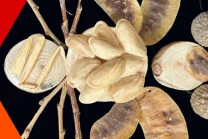 İzmit Oyuncak Müzesi'nde çocuklara yönelik yaratıcı atölye çalışması