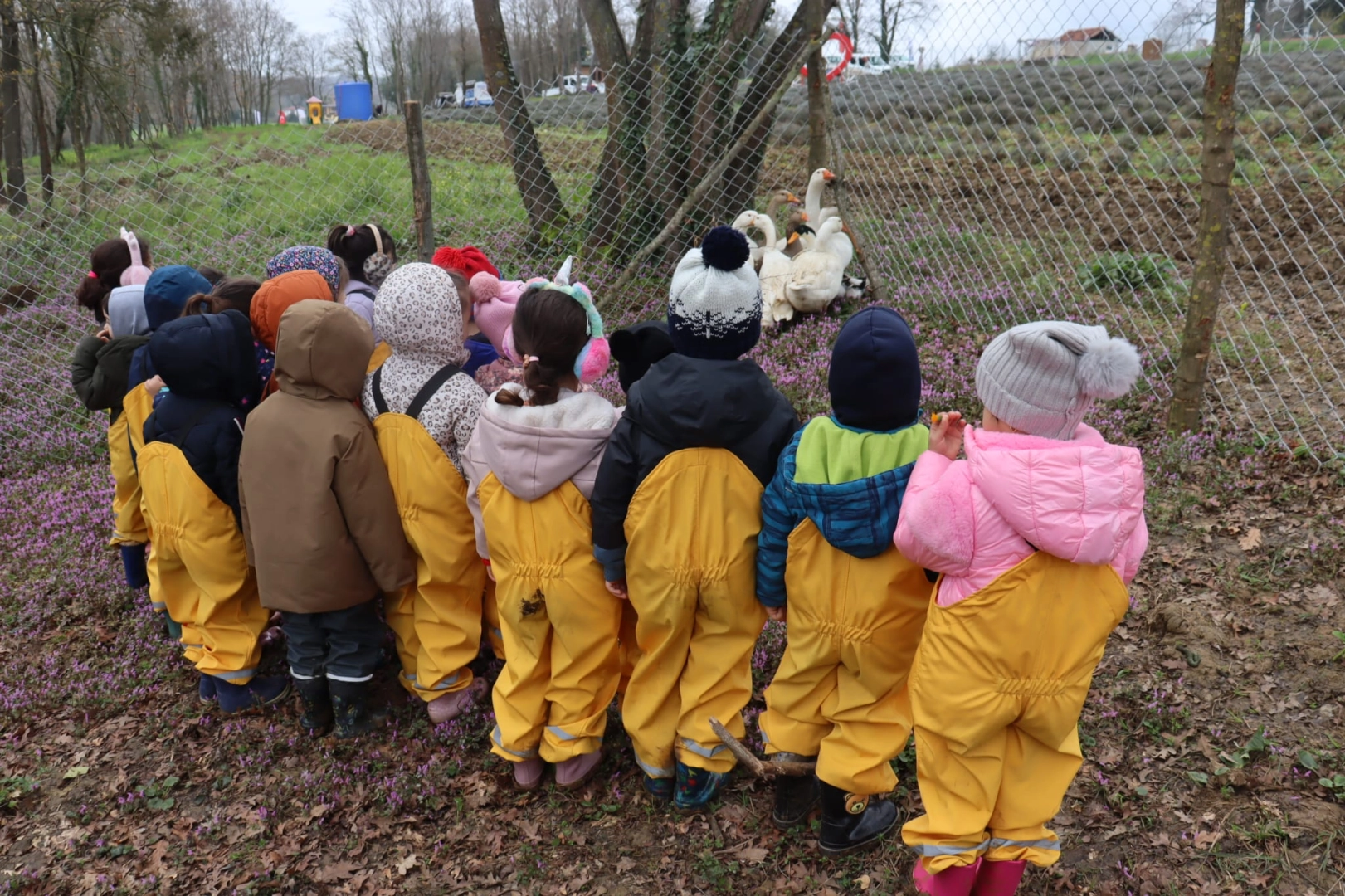 İzmit'te minik öğrenciler Orman Haftası kapsamında fidan dikiyor