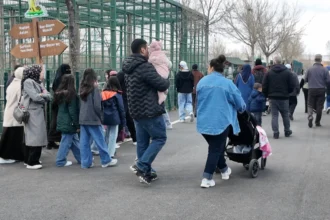 Kayseri Hayvanat Bahçesi'nde bayram yoğunluğu, ziyaretçiler ve hayvanlar