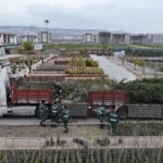 Kayseri Kocasinan Belediyesi'nin ağaç dikme töreni ve yeşil alan çalışmaları