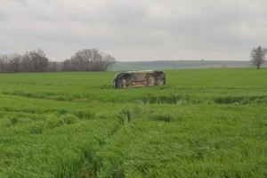 Edirne Keşan'da buğday tarlasına uçan ticari araç ve olay yeri incelemesi yapan jandarma ekipleri