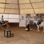 Kocaeli'de 230 çocuğun atlarla tanıştığı etkinlik