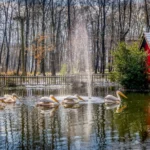 Kocaeli'de bayram tatili için Ormanya ve Kuzuyayla'da hazırlıklar tamamlandı.