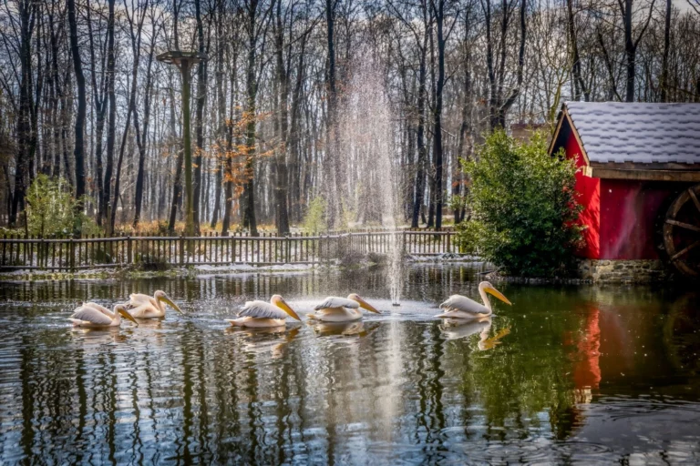 Kocaeli'de bayram tatili için Ormanya ve Kuzuyayla'da hazırlıklar tamamlandı.