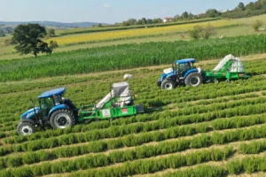 Kocaeli Büyükşehir Belediyesi'nin kırsal üretim ve çiftçi destekleri