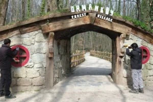 Kocaeli Ormanya'daki Ormanköy'ün yenilenen yüzü ve Hobbit evleri