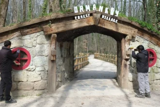 Kocaeli Ormanya'daki Ormanköy'ün yenilenen yüzü ve Hobbit evleri