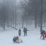Kocaeli Kuzuyayla'da bayram tatilinde yağan kar ve ortaya çıkan geyikler