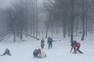 Kocaeli Kuzuyayla'da bayram tatilinde yağan kar ve ortaya çıkan geyikler