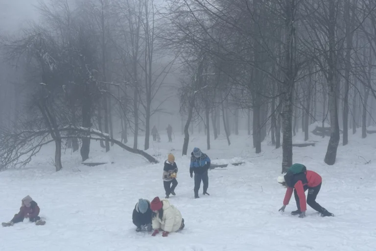 Kocaeli Kuzuyayla'da bayram tatilinde yağan kar ve ortaya çıkan geyikler