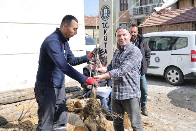 Kütahya Belediyesi kiraz fidanı dağıtarak yerel tarımı destekliyor