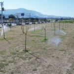 Manisa'da yeşil alanlarda akıllı sulama sistemi uygulaması